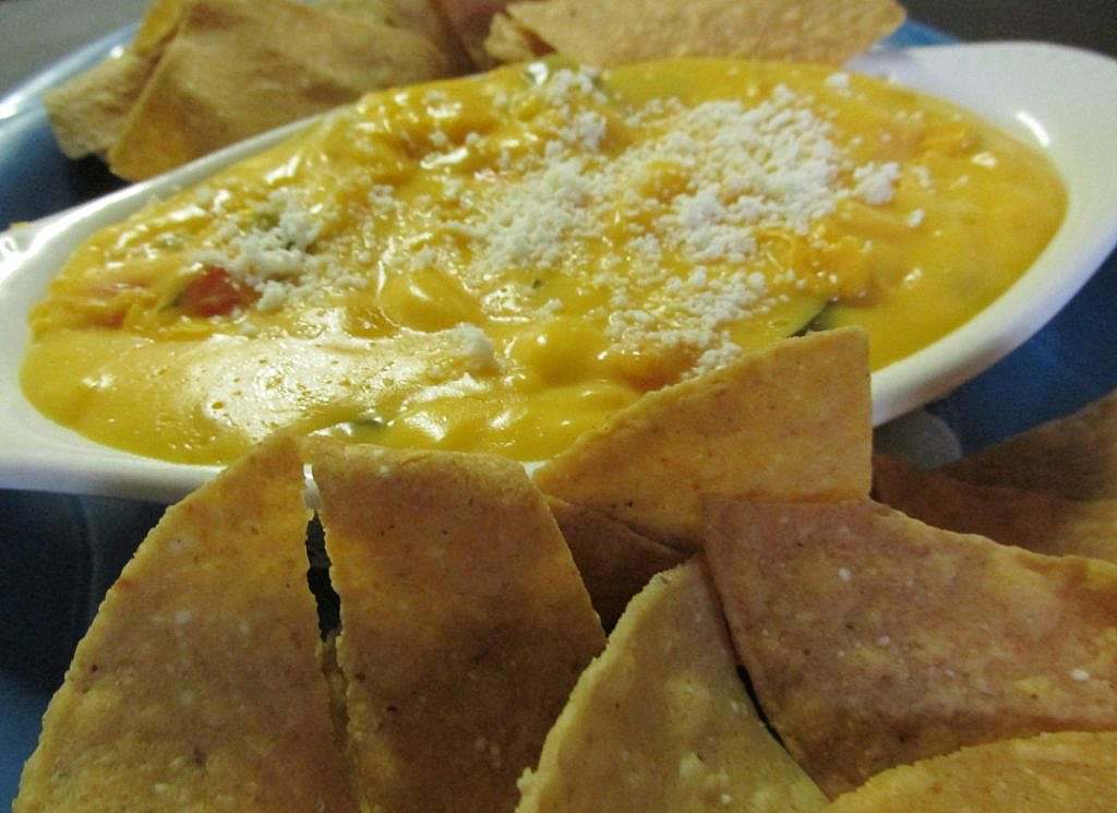 A bowl of dip with chips and tortillas.